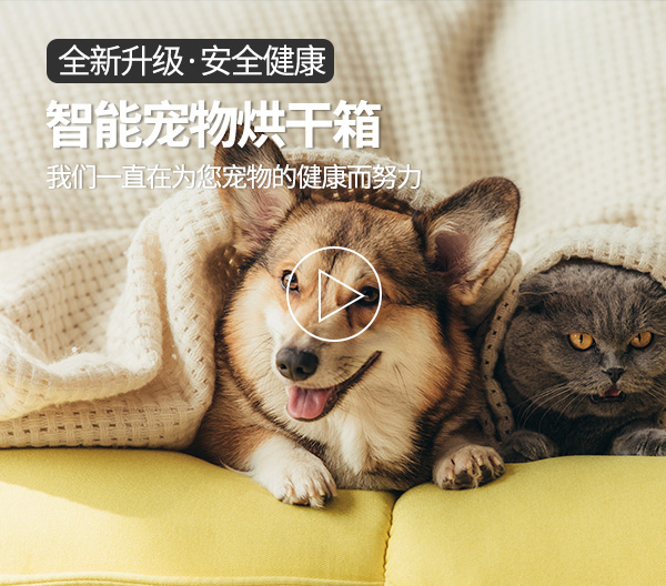 清度视频